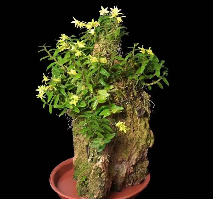 美文阅读人生如诗读后感,悦读美文领悟生活