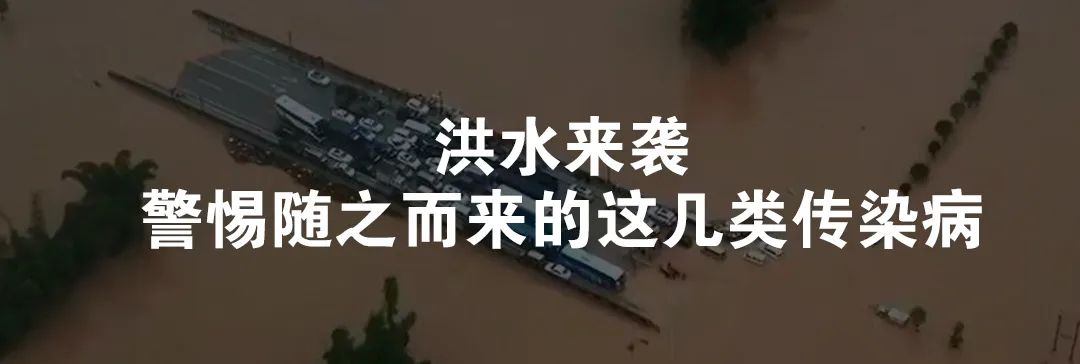 吃了苦西葫芦中毒的表现,发苦的西葫芦能吃吗