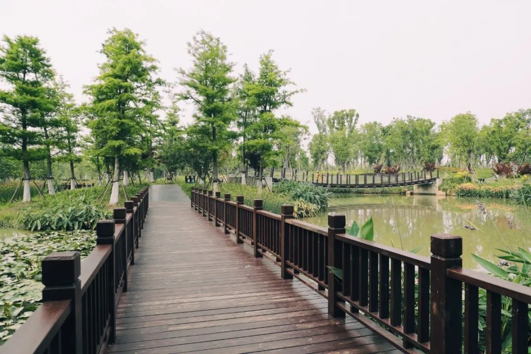 松江9号线好玩的地方有哪些呢,地铁松江一日游