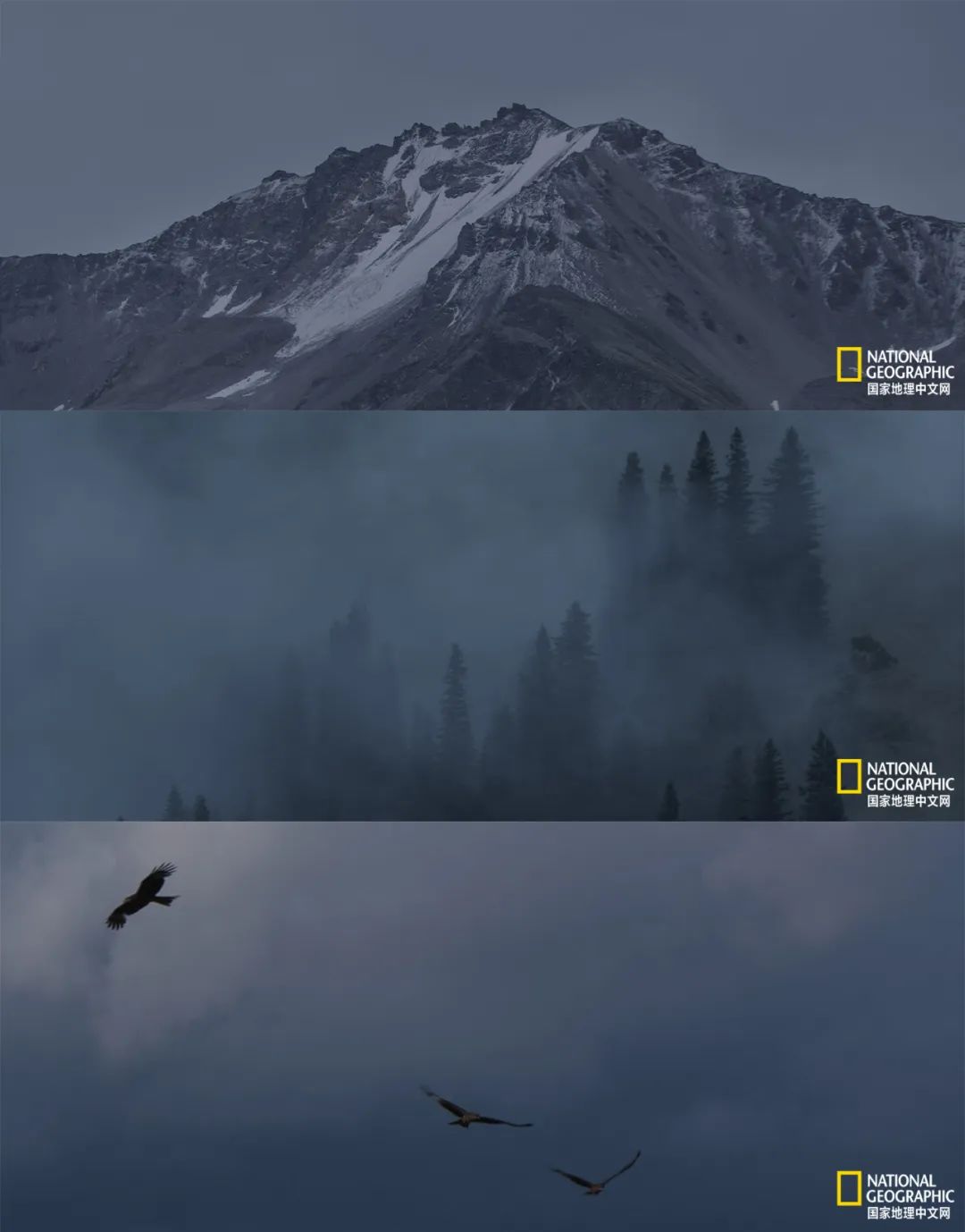 有一种异域风情的美,有一种前所未有的力量充斥着我