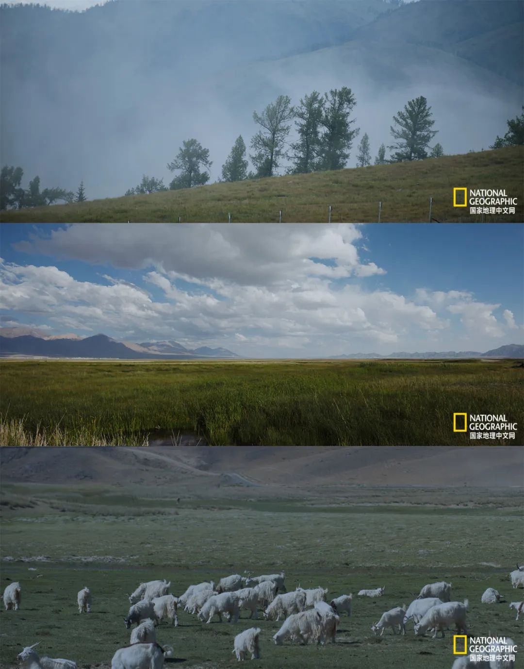 有一种异域风情的美,有一种前所未有的力量充斥着我