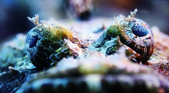 索尼x9000h测评,索尼x9000h游戏体验