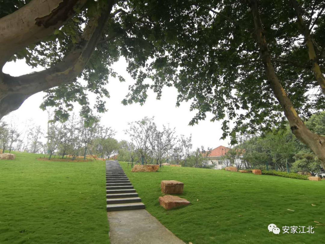 南京鼓楼区公办小学排名最新,南京新学校最新消息