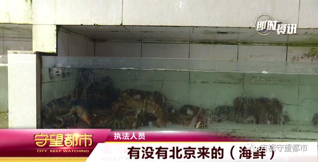 长春市海鲜批发加工市场,长春水产海鲜批发市场