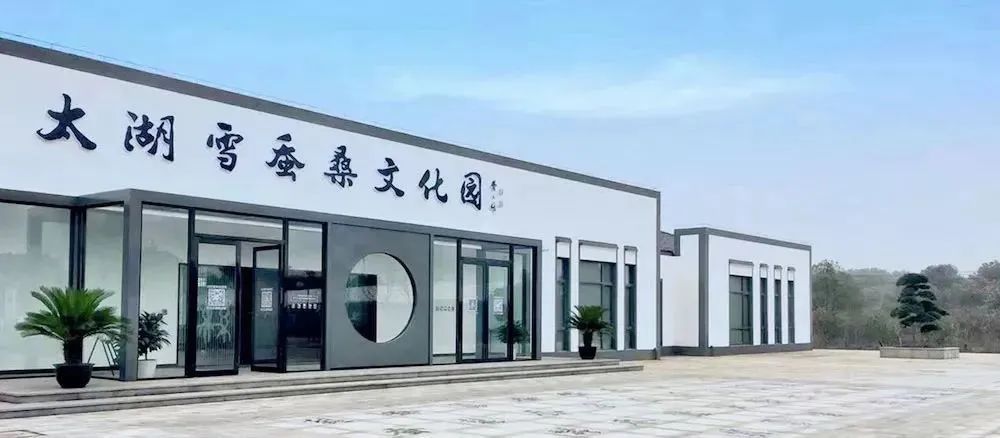 夏季最凉快桑蚕丝,桑蚕丝适合夏季