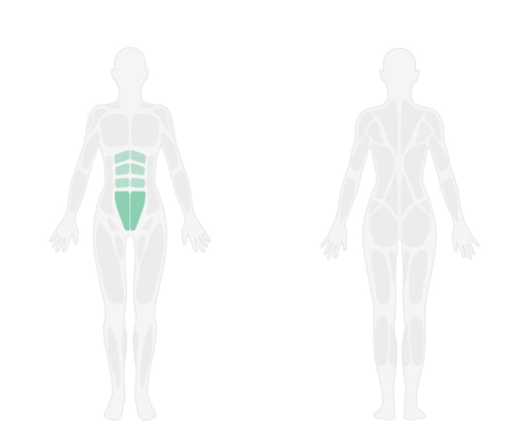 马甲线教程视频动作要领,腰腹肌训练马甲线要领