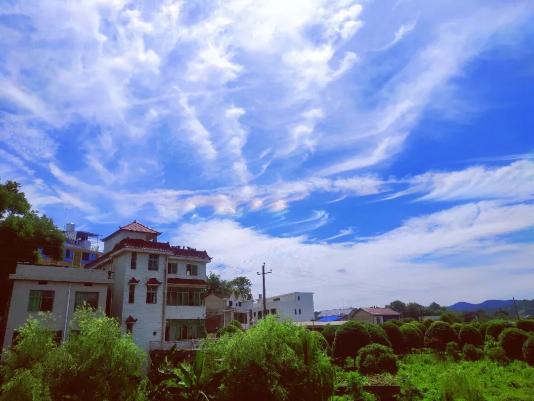 刷屏了！这样的开福蓝，请给我来一打