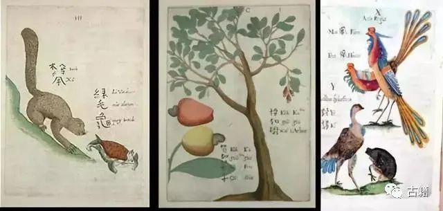 2022普洱老茶拍卖价格,九十年代的普洱熟茶拍卖价