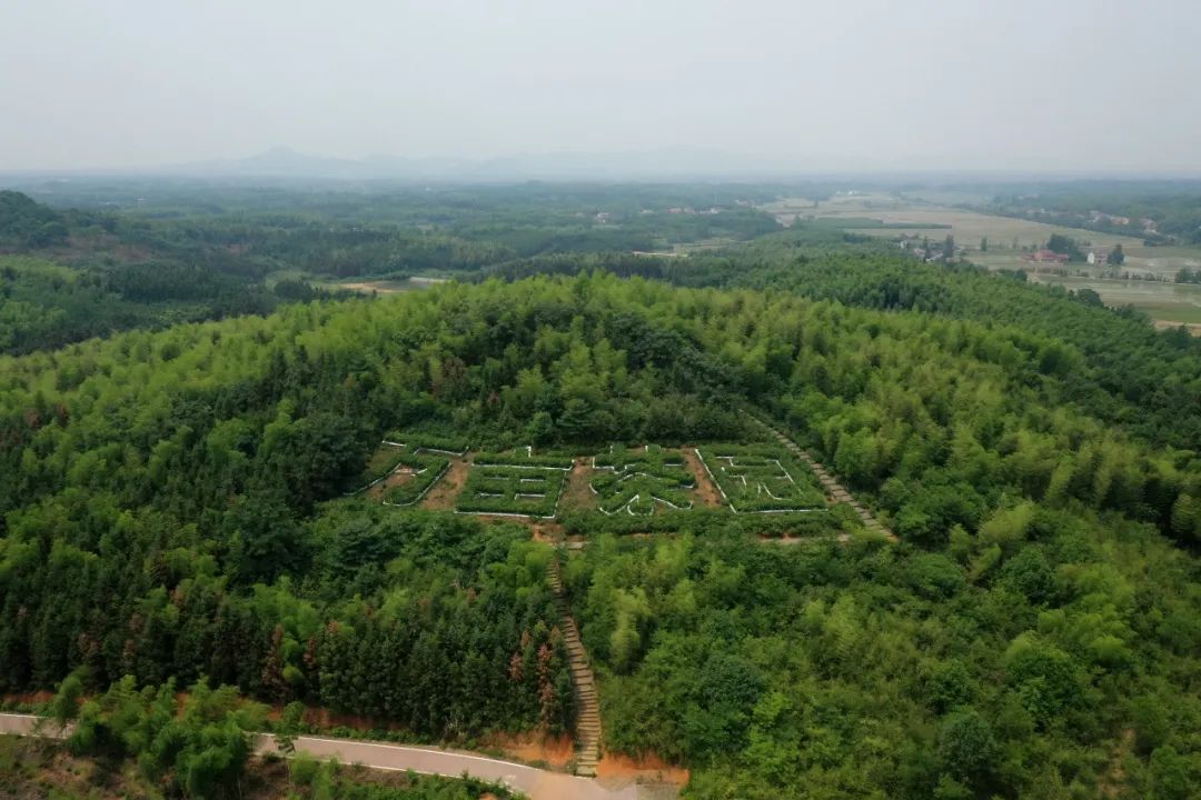 湖北最美环湖绿道徒步,十大最美绿道骑行