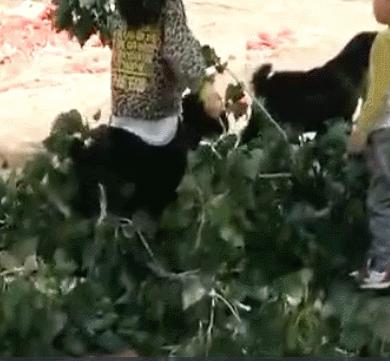 看完李佳琦父亲才知道，90%的人早已失去「成为李佳琦」的机会