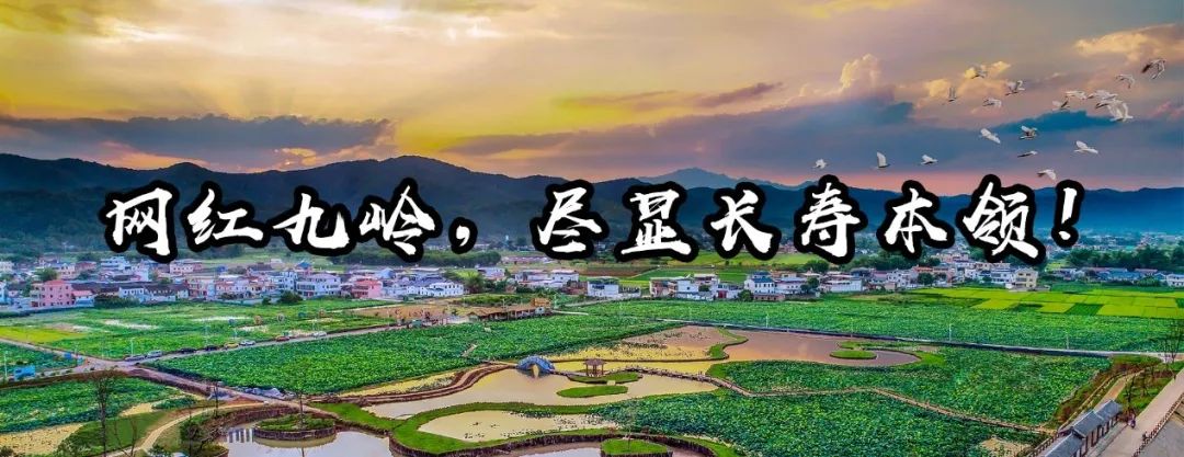 长寿村的秘密原视频,世界长寿乡梅州市蕉岭县