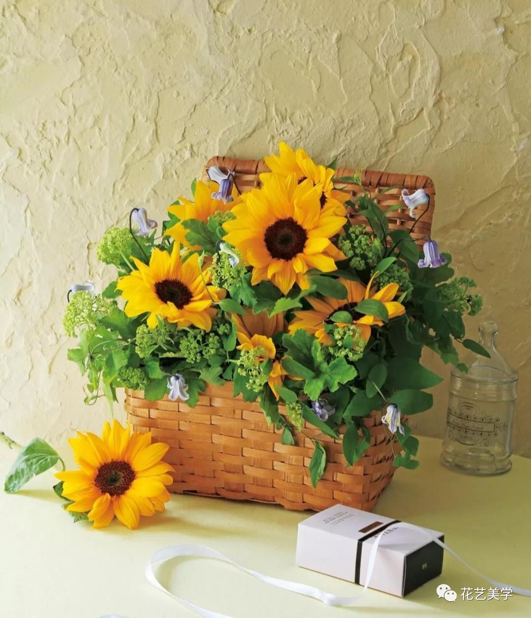 节日丨父亲节，除了向日葵还能送啥花