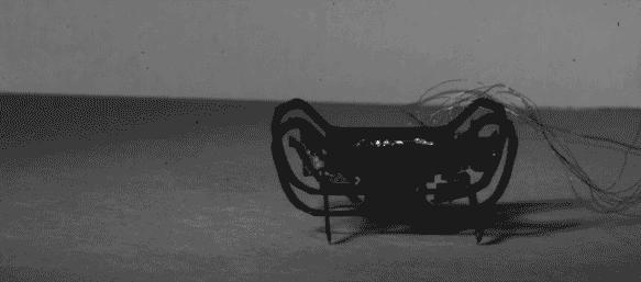 史上最小、速度最快机器人!哈佛出品的2厘米「四足小强」来了