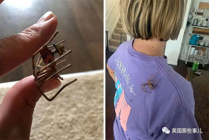 外国网友分享自己淘到的各种旧货,分享一些国外回流稀奇古怪老物件