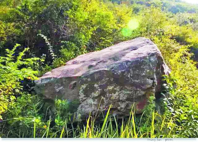 庐州石头传奇:“石公、石婆、石小姐”、“棋盘石”、“霸王石”……