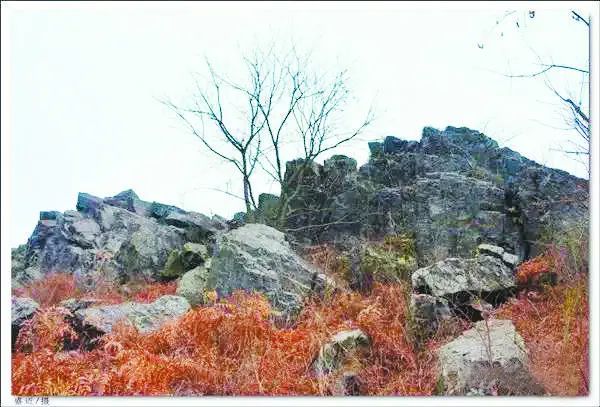 庐州石头传奇:“石公、石婆、石小姐”、“棋盘石”、“霸王石”……