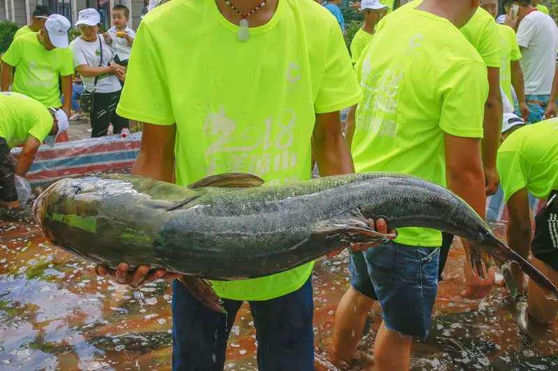 邛海景观,邛海风光令人醉