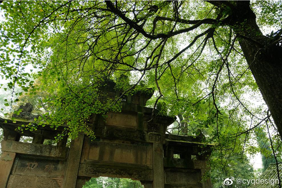 夏日避暑胜地高铁直达,坐动车可直达哪些地方避暑