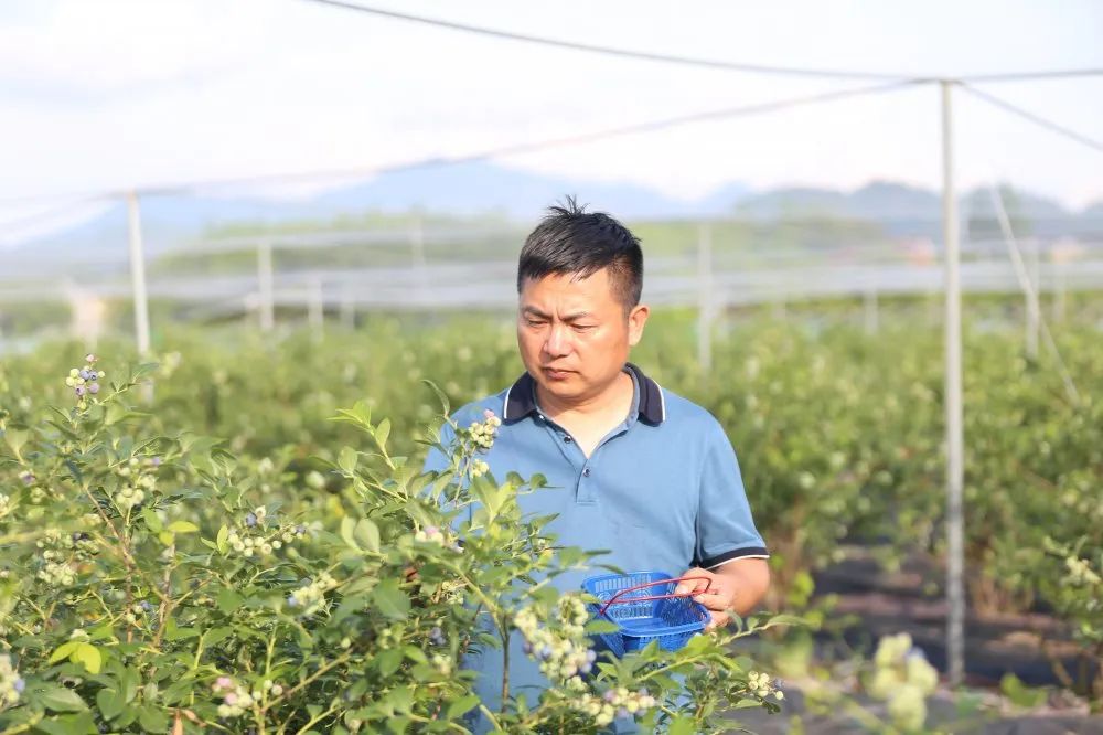 周末去哪儿⑭|万市的漂流，场口的瓜，胥口桃源避暑行……麻烦给我的爱人来一份“夏日清凉”！