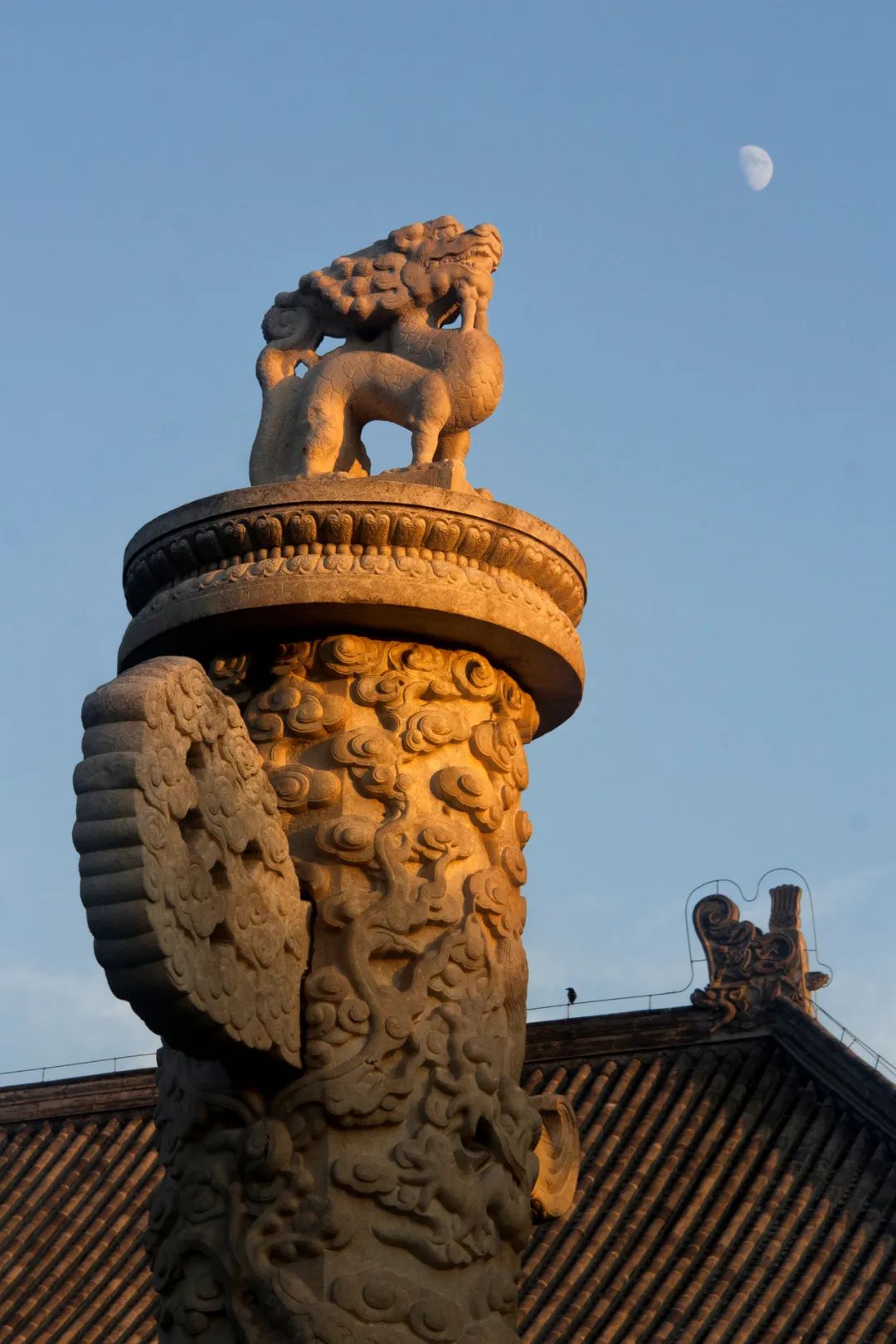 北京大学2020毕业典礼门票亮相！网友：要留好！