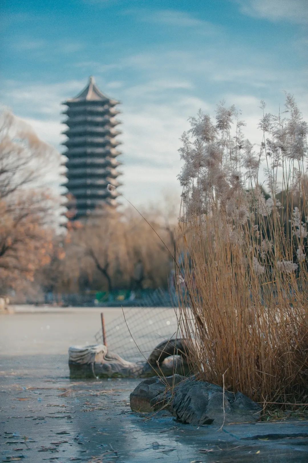 北京大学2020毕业典礼门票亮相！网友：要留好！