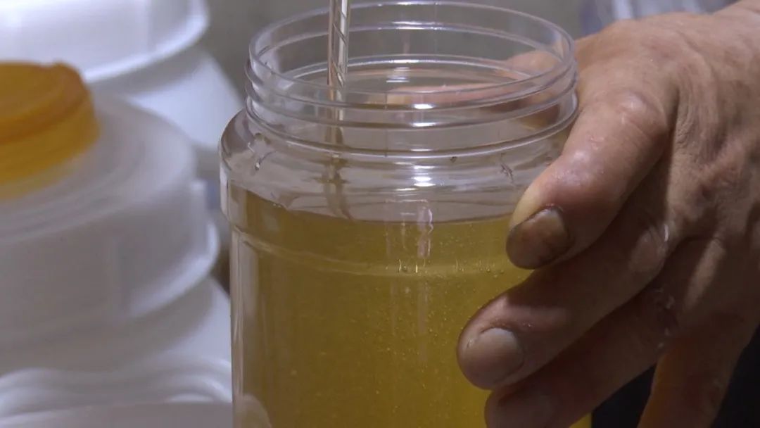 蜂农找蜂蜜销路,养蜂人蜂蜜滞销怎么办