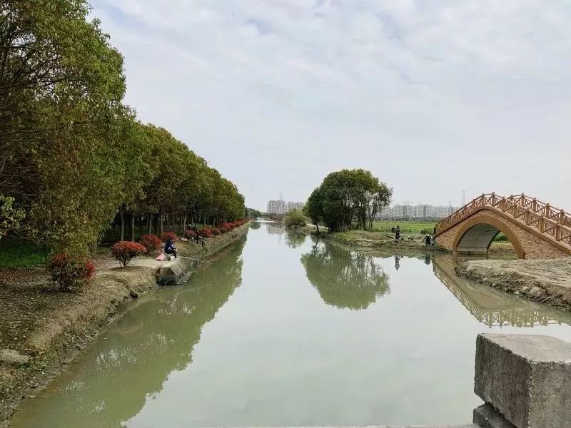 松江9号线好玩的地方有哪些呢,地铁松江一日游