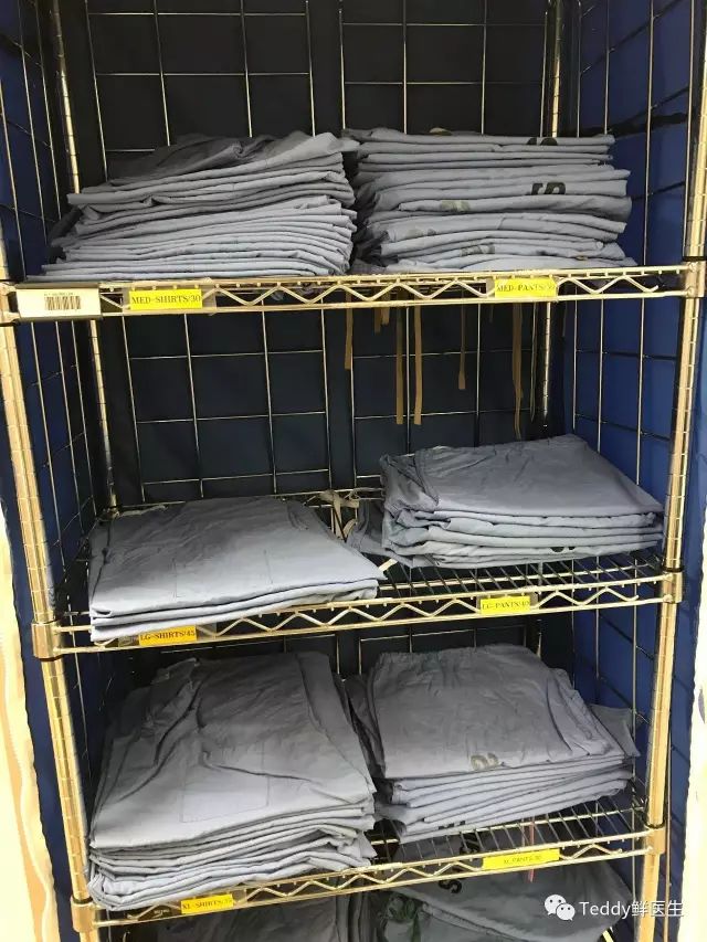 梅奥诊所经历,梅奥诊所真实照片