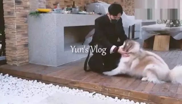 张若昀唐艺昕刘涛节目,张若昀与唐艺昕近况