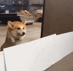 盘点女生遇到的尴尬瞬间,作为女生你遇到的最尴尬的问题