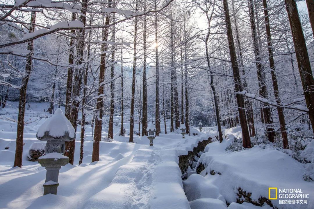 九华山不能去后山吗,九华山必须要爬吗