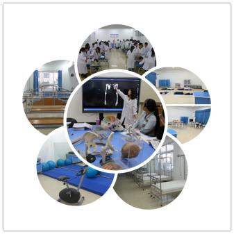 康复治疗技术副高考试,康复治疗技术考试视频