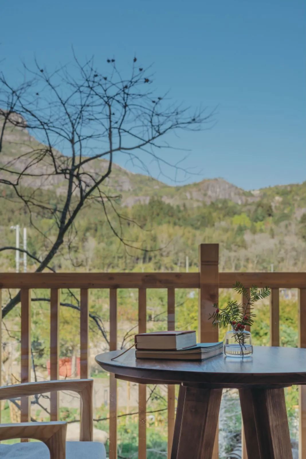 娄艺潇住的哪个酒店,娄艺潇旅游住民宿