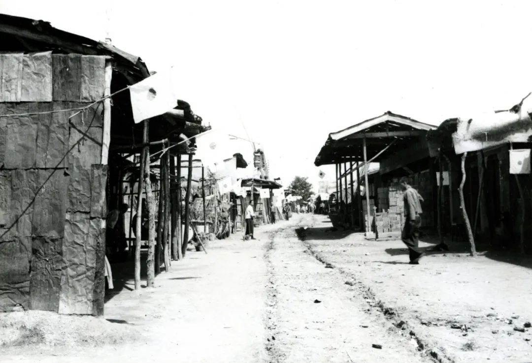 热爱和平但从未畏惧战争,因为热爱和平所以回望战争