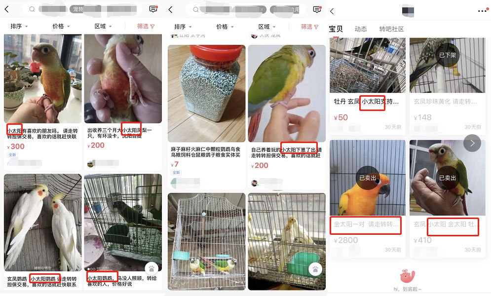 隐秘的角落下架,隐秘的角落动物