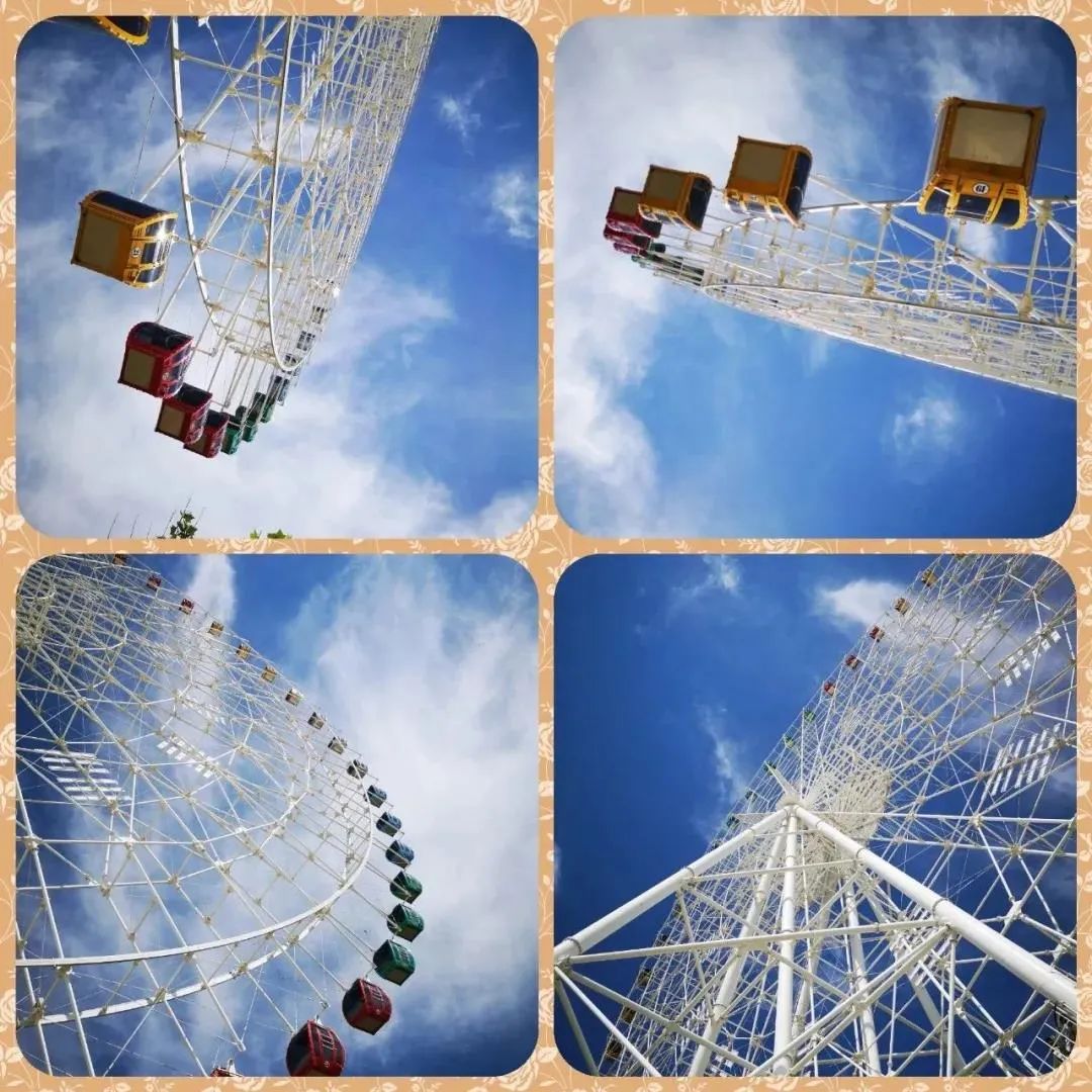 新疆伊犁昭苏油菜花几月开,大美新疆昭苏特克斯油菜花