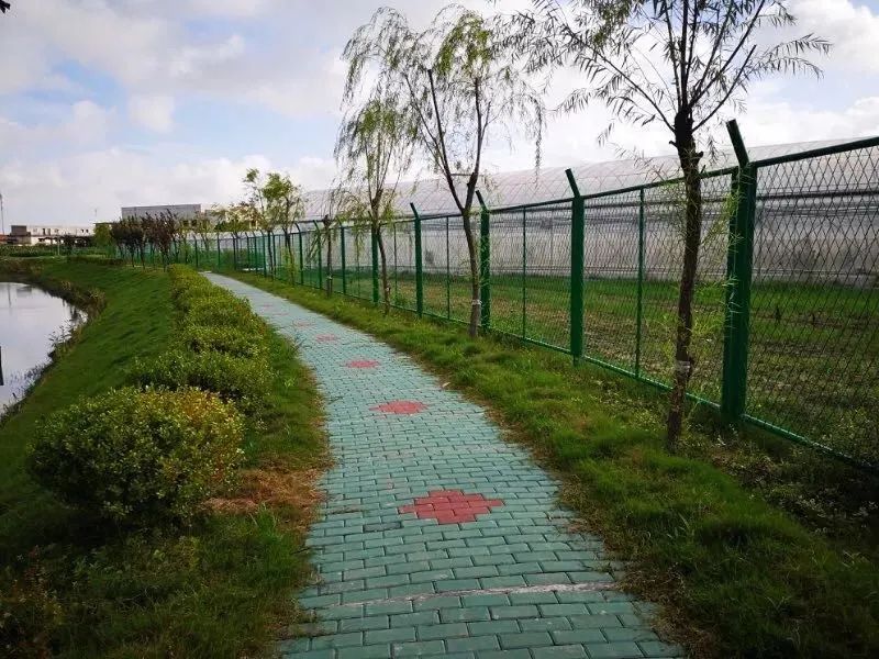 上海宝山：找准产业定位，寻求差异化发展，都市乡村振兴之路越走越宽