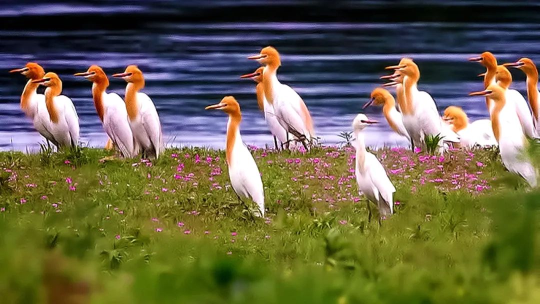 比买一送一还划算，全年不涨价！享山水画里329㎡双卧别墅，玩皮划艇漂流