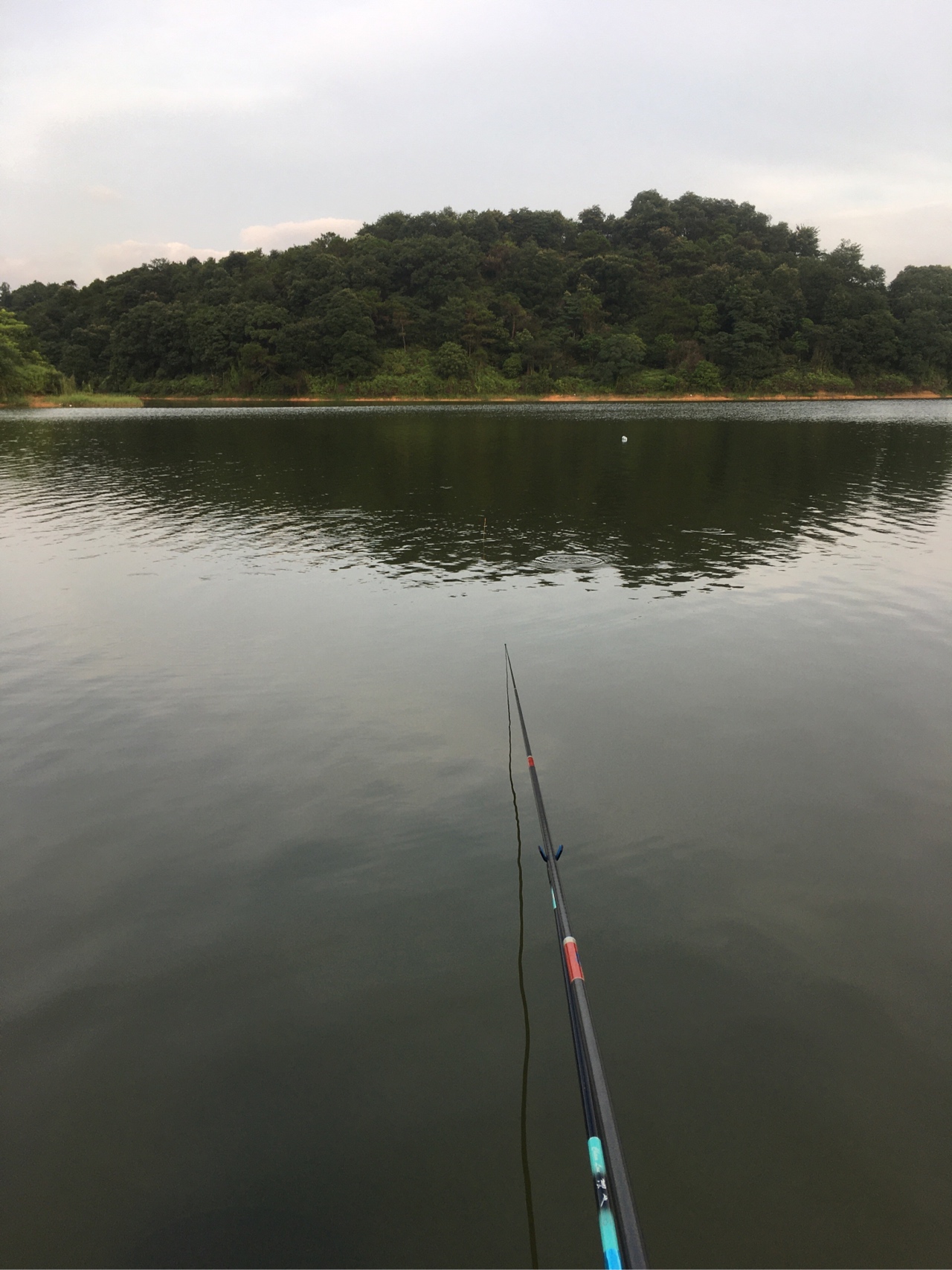 水迳水库孤独的守夜人，一非一草终还梦