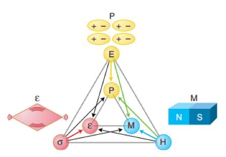 未来信息存储的领航者——多铁性材料丨科普硅立方
