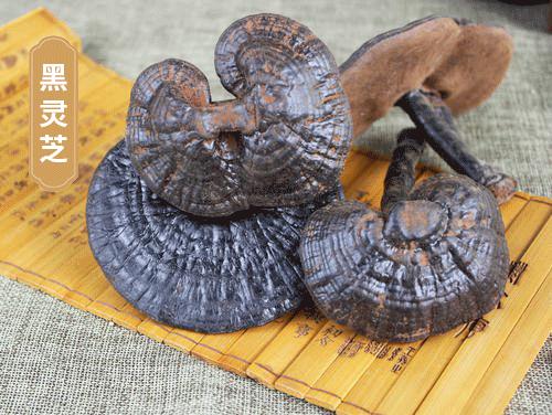 7天挑战无头屑,挑战5天不洗头依旧蓬松不油头