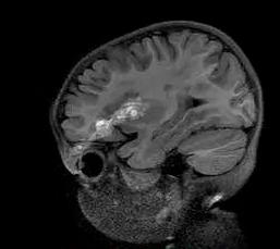 閽昏繘鐪肩潧鐨勫皬鐜╁叿,鐜╁叿鎴冲埌鐪肩潧鐪肩彔姘磋偪