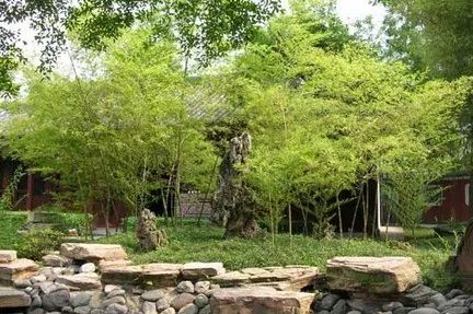 竹山旅游线路大全,竹山周边一日游旅游景点推荐