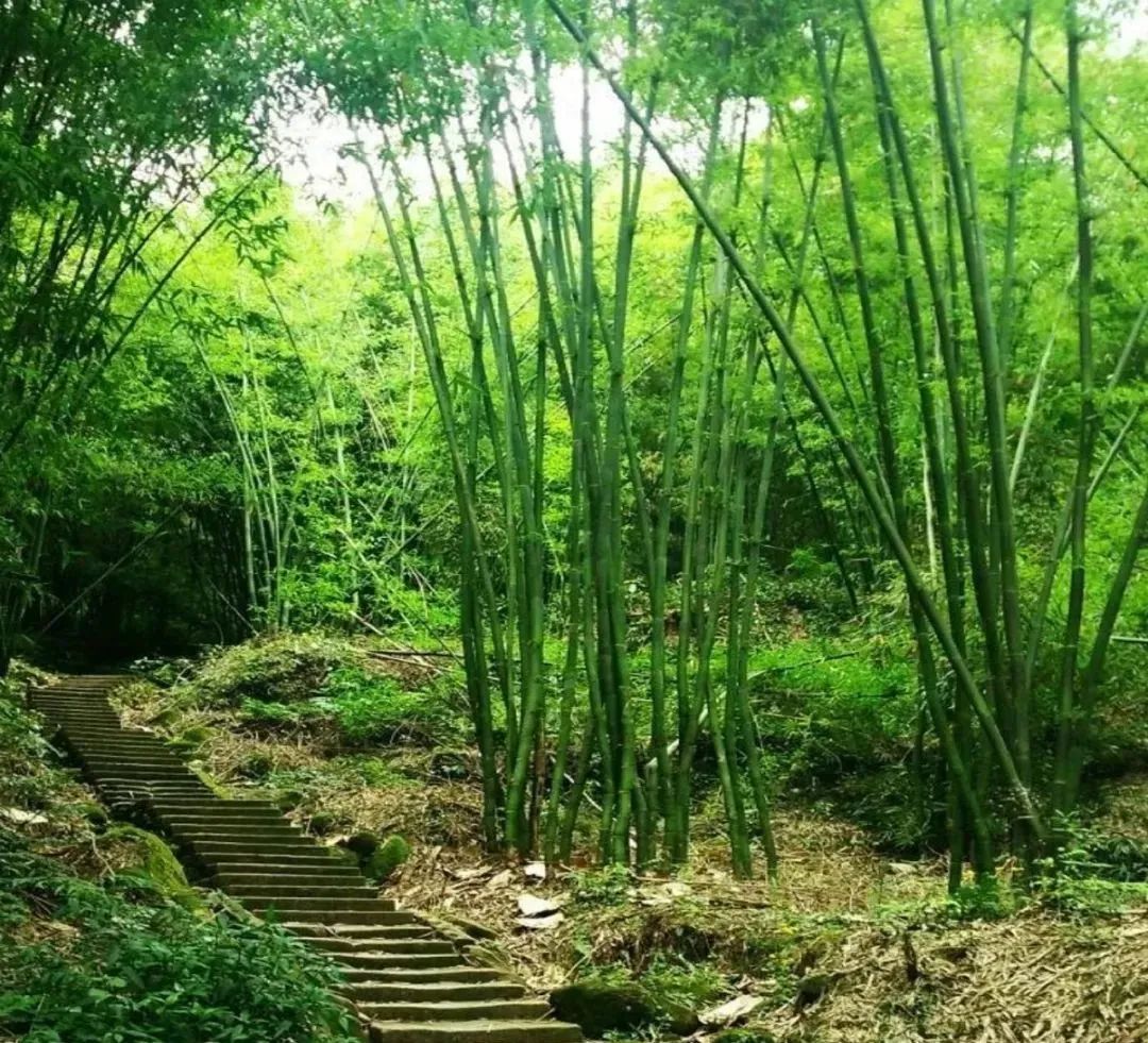 竹山旅游线路大全,竹山周边一日游旅游景点推荐