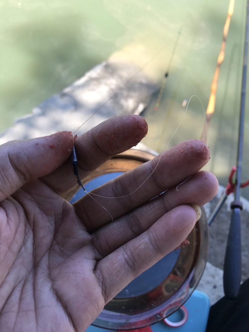 近水楼台先得“鱼”，一不小心成蟹老板