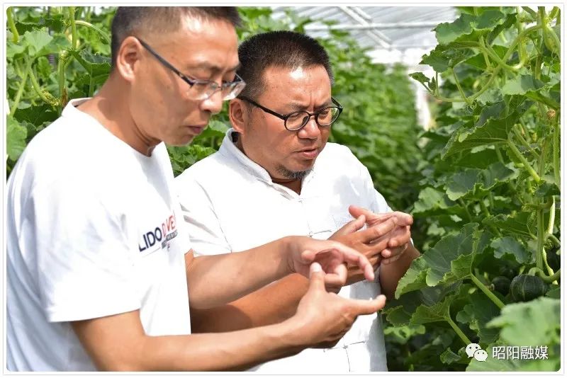 中国作家走进昭通采风活动,中国作家走进昭通