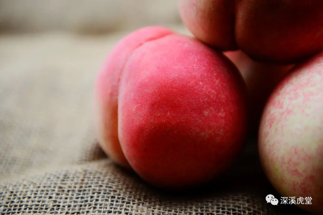 一颗水蜜桃,一颗水蜜桃糖可以做什么