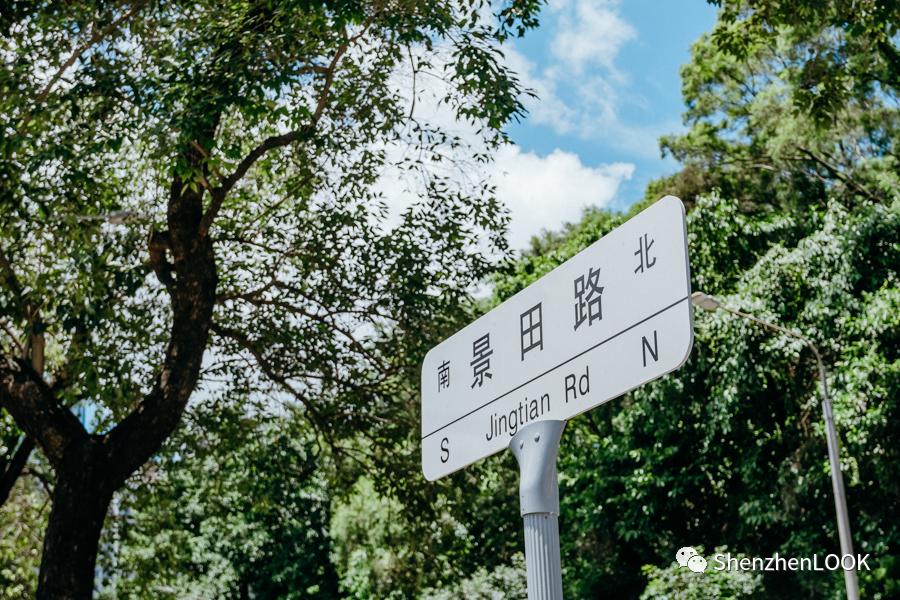 LOOK|这，就是景田