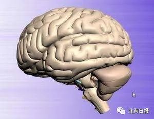 预告|博士大讲堂第十三期：工学博士张钺为你揭秘“大脑的那些事”