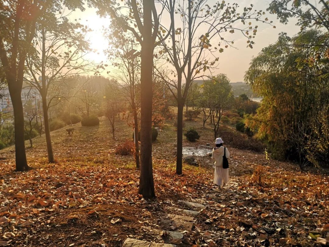 你好这里是成都翻译英文,你知道武汉商学院么